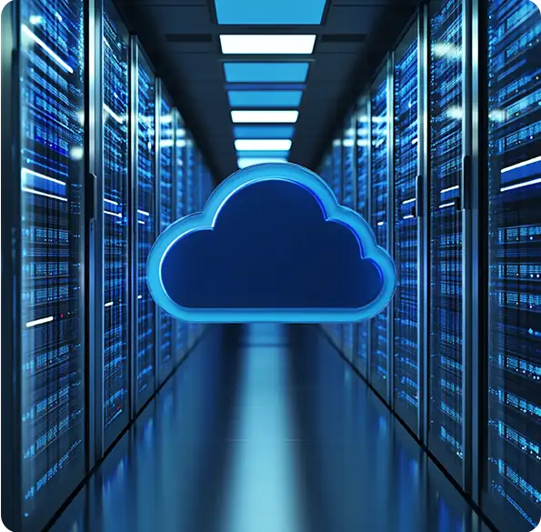 Professional Web Hosting Services